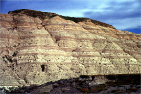 Sedimentary Rock Layers