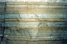 Lithified Sedimentary Layers