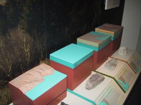 Museum Display