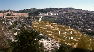The City of David