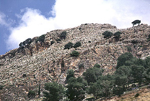 Cliff Face of the Mt. of Precipitation