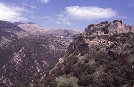 View to Mt. Hermon