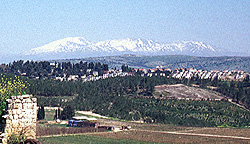 Mt. Hermon