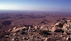 Desert of Kadesh