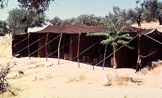 Bedouin tent