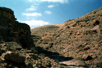Desert Wadi