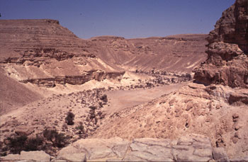 Dry desert river bed